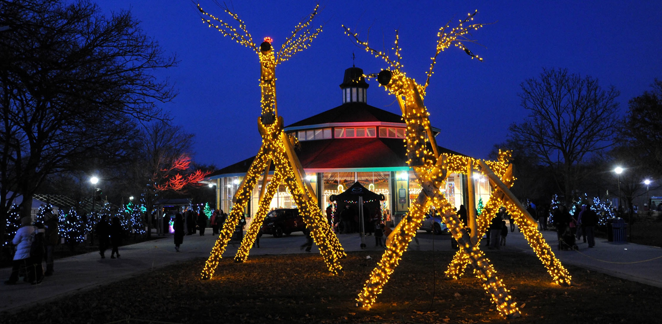A Night of Zoo Lights Brookfield Zoo Holiday Magic What You Need to Know
